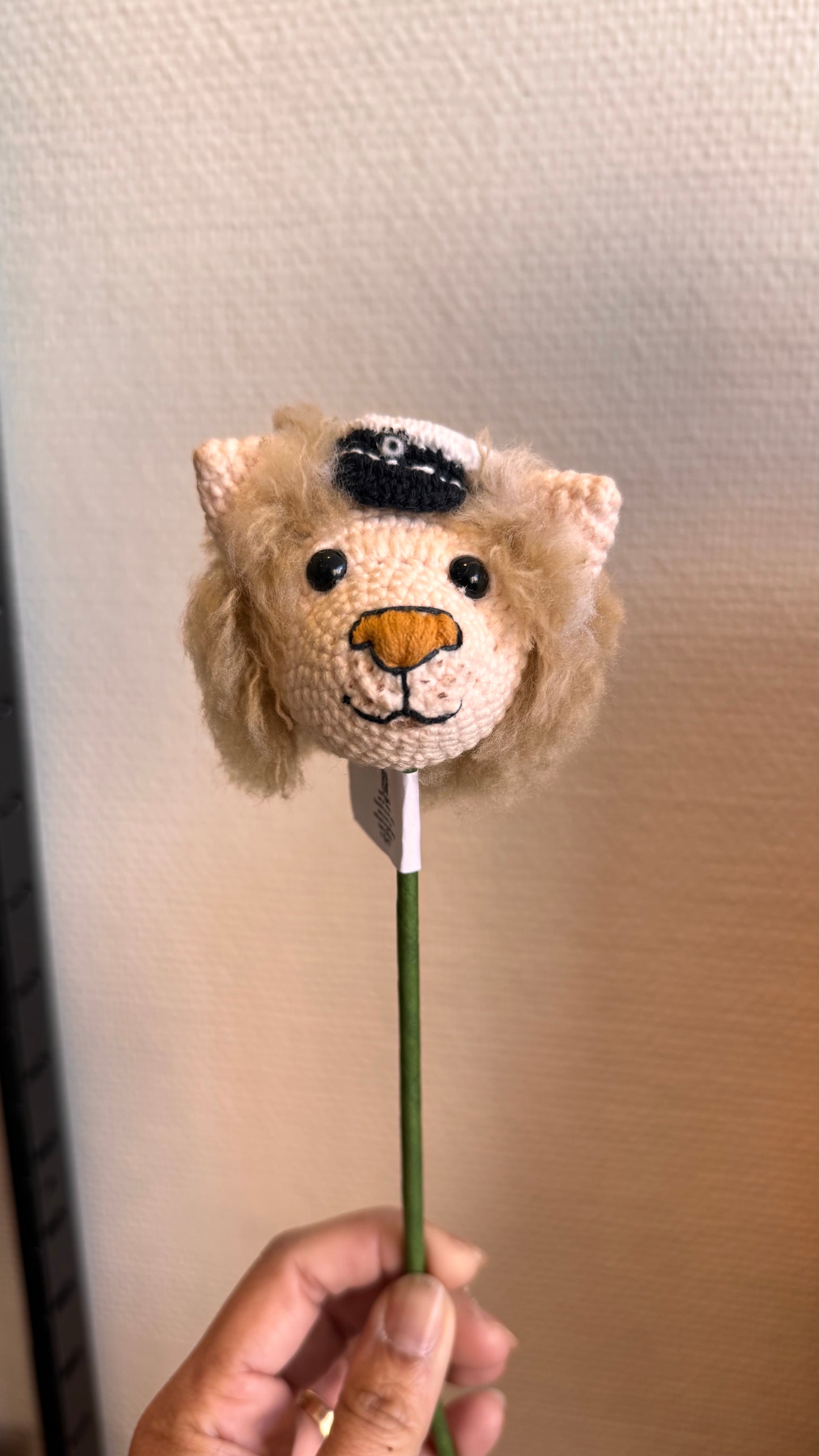 Graduated Lion Head ๐