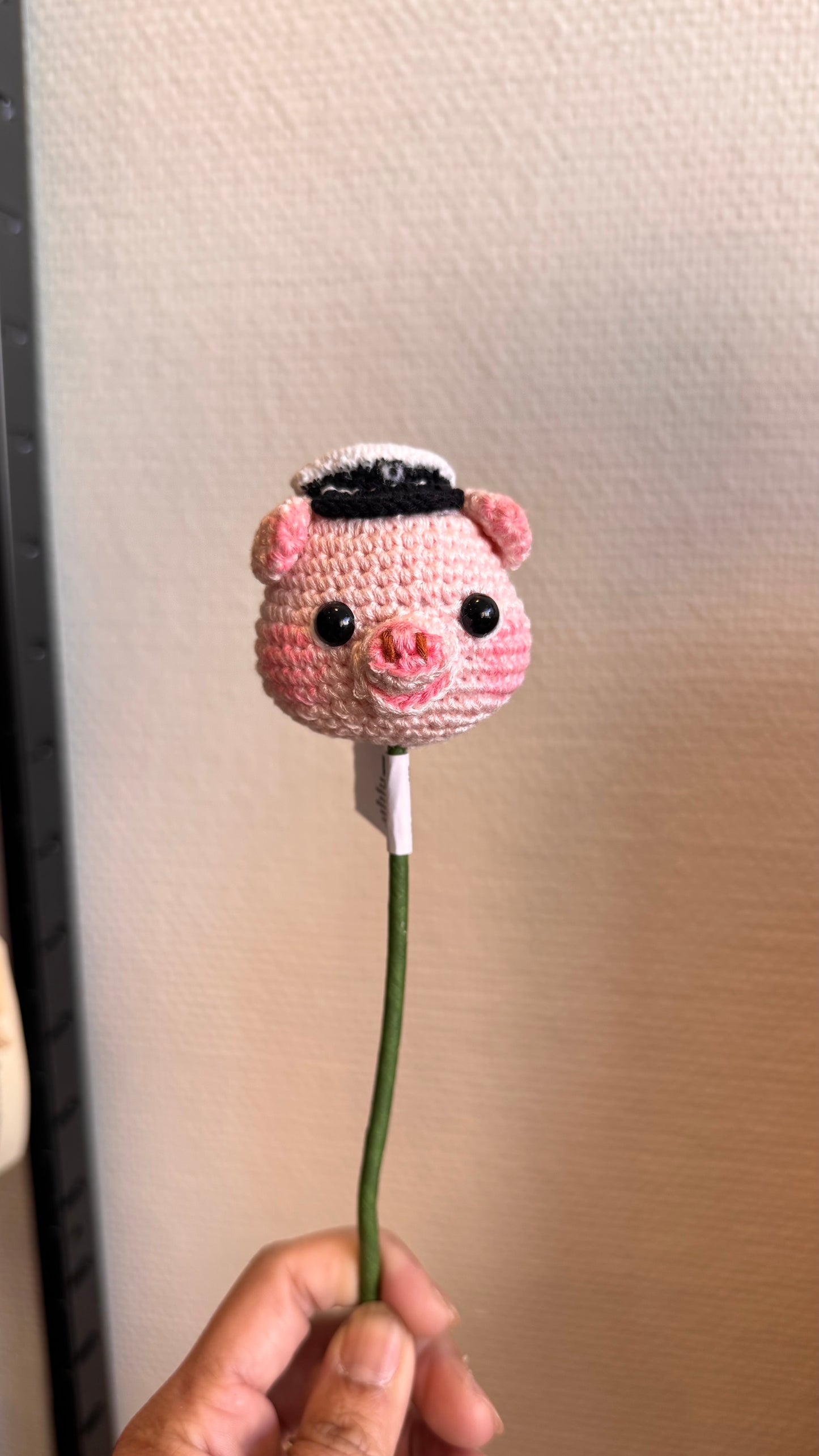 Graduated Pig Head ๐