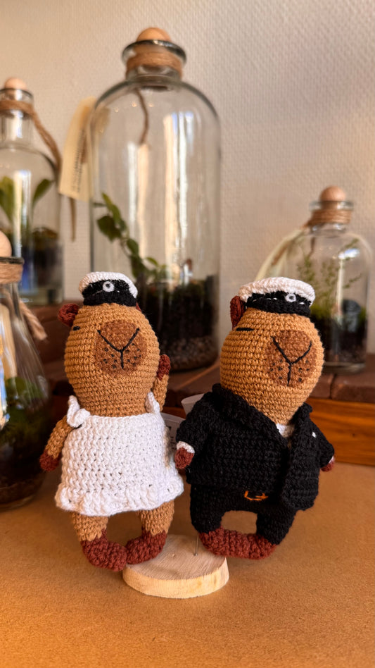 Graduated Capybara Dolls 🎓