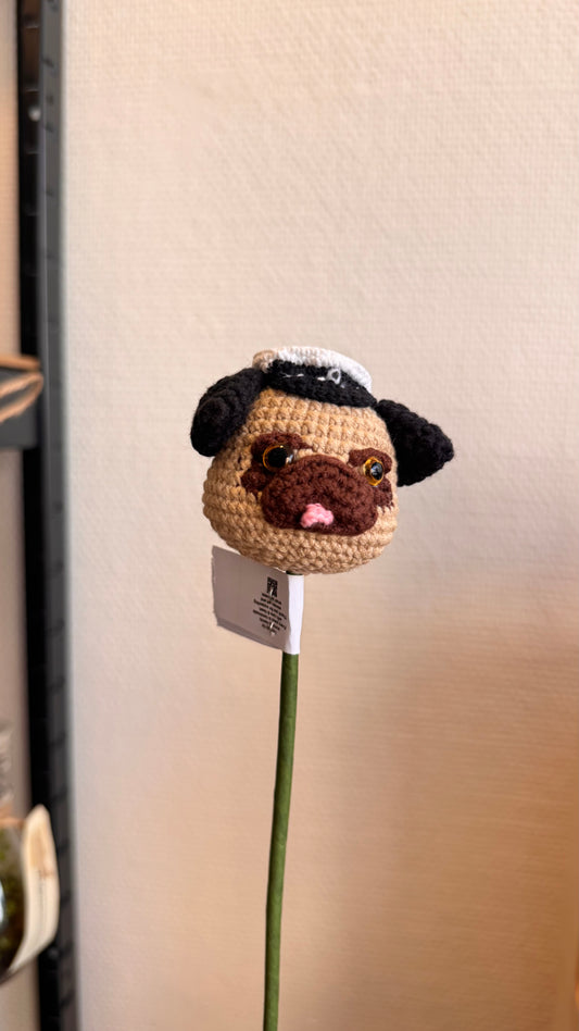 Graduated Pug Head 🎓