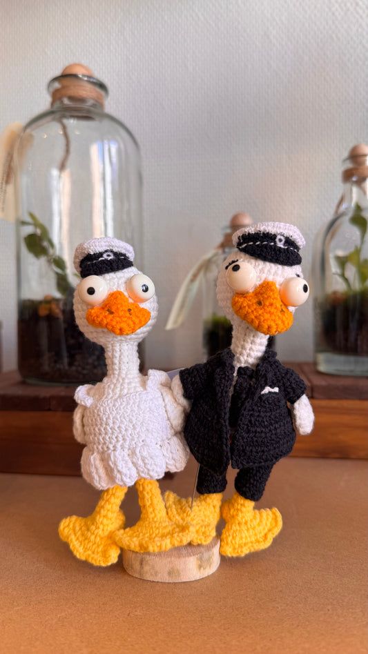 Graduated Duck Dolls 🎓