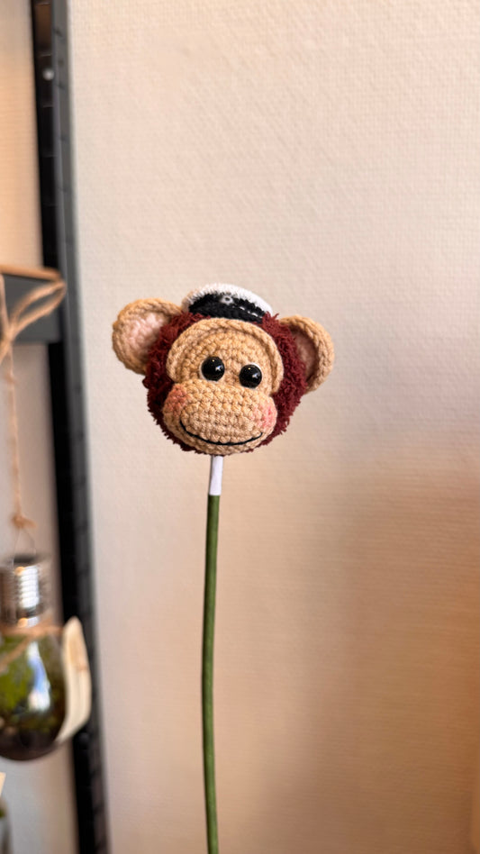 Graduated Monkey Head 🎓