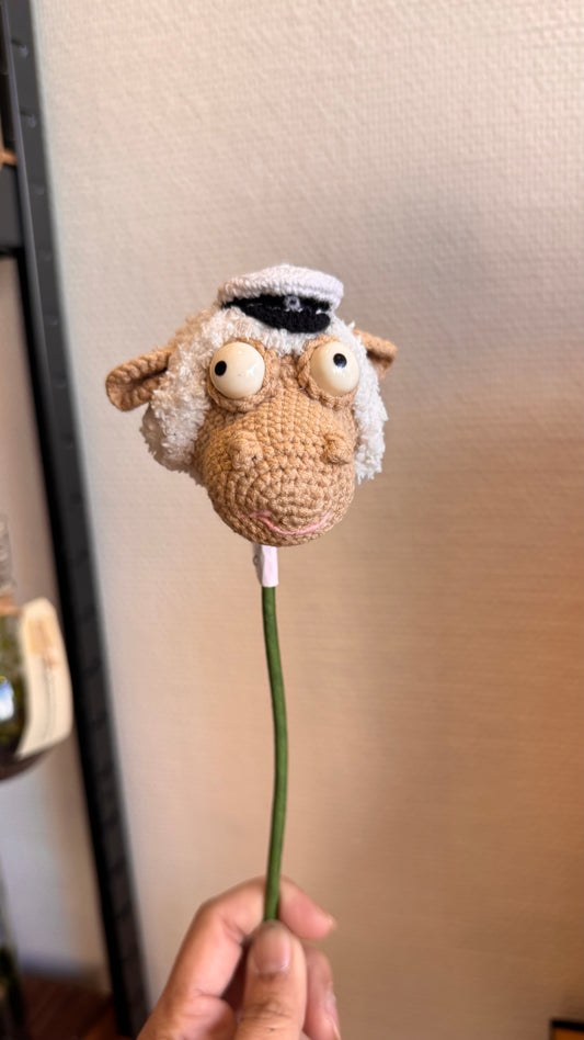 Graduated sheep Head 🎓
