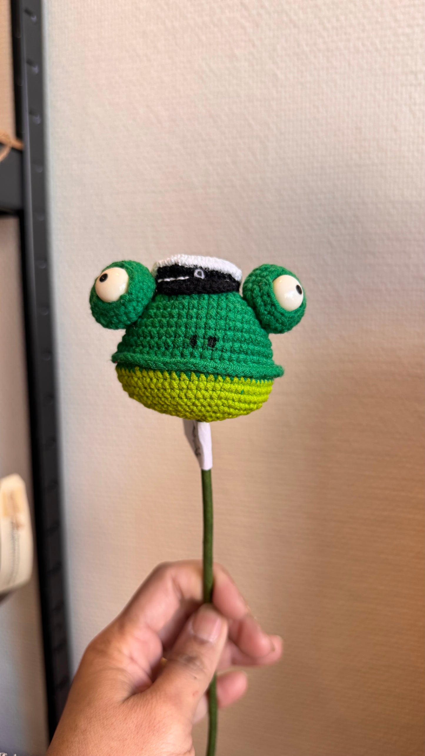 Graduated Frog Head 🎓