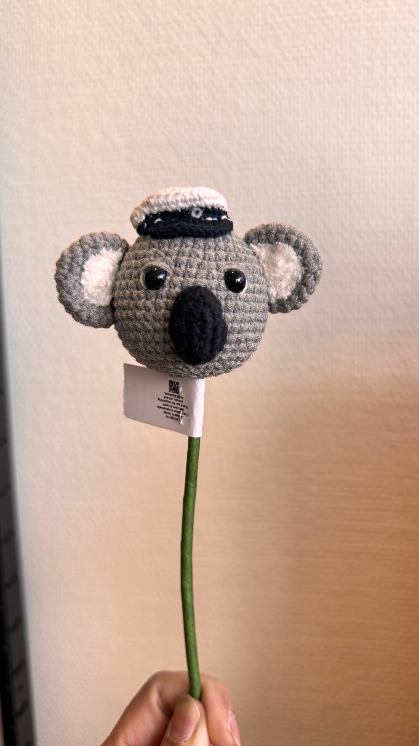Graduated Koala Head 🎓