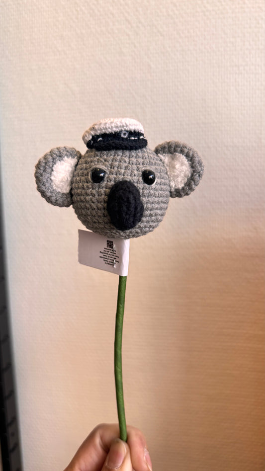 Graduated Koala Head 🎓