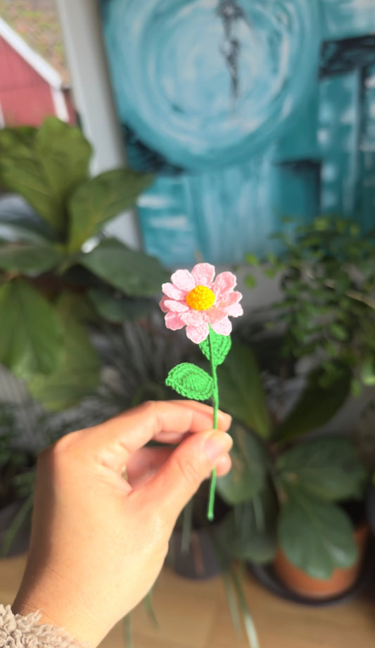 Premium Daisy – Handmade