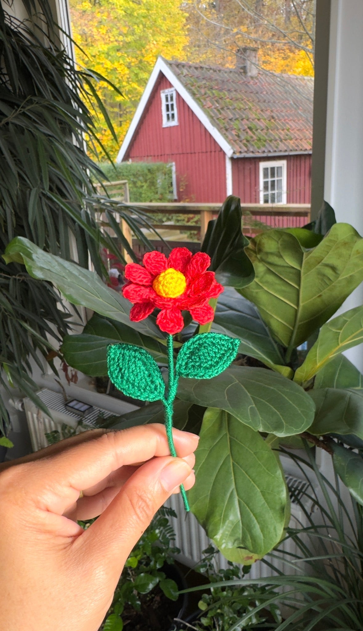 Premium Daisy – Handmade