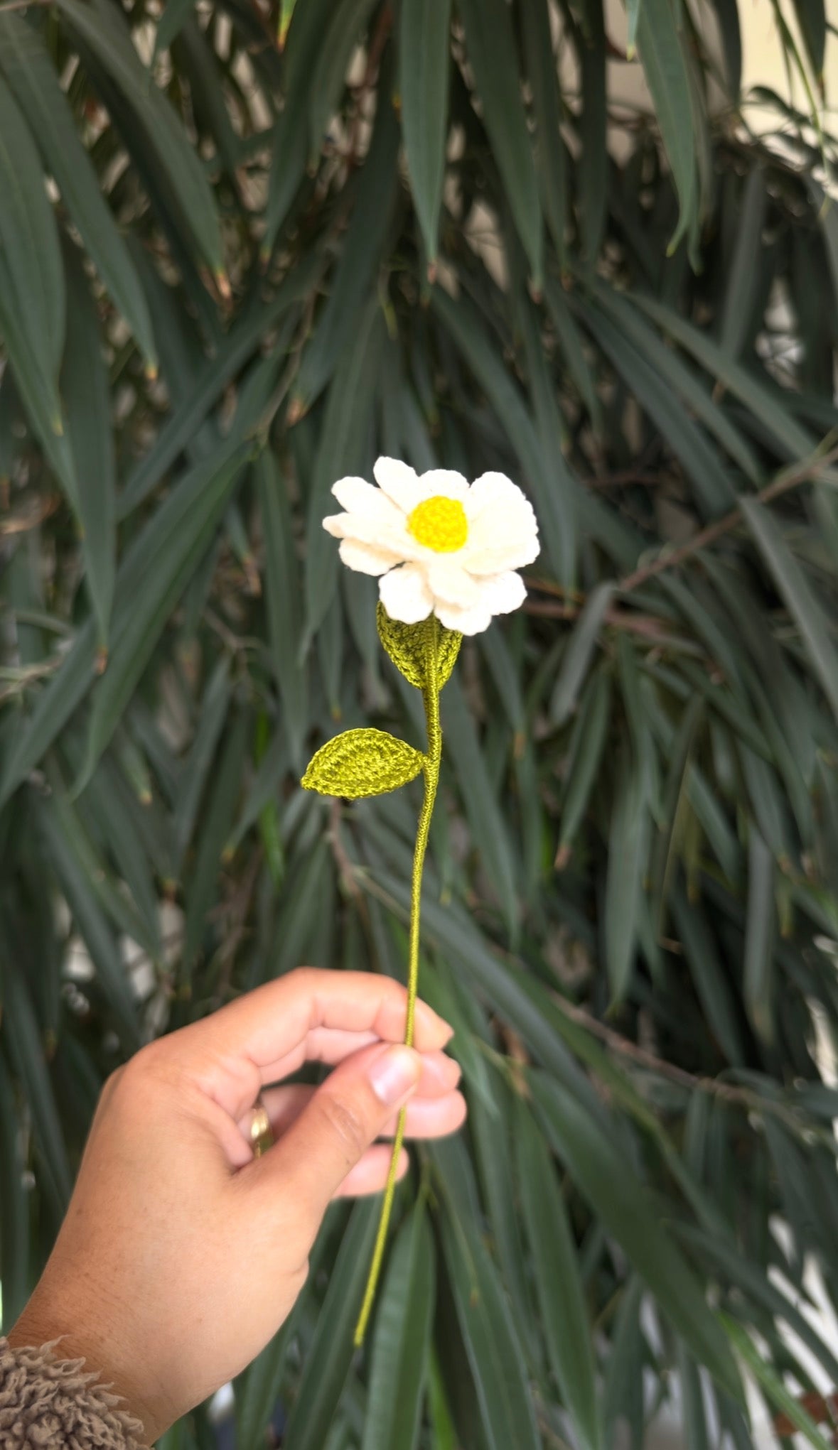 Premium Daisy – Handmade