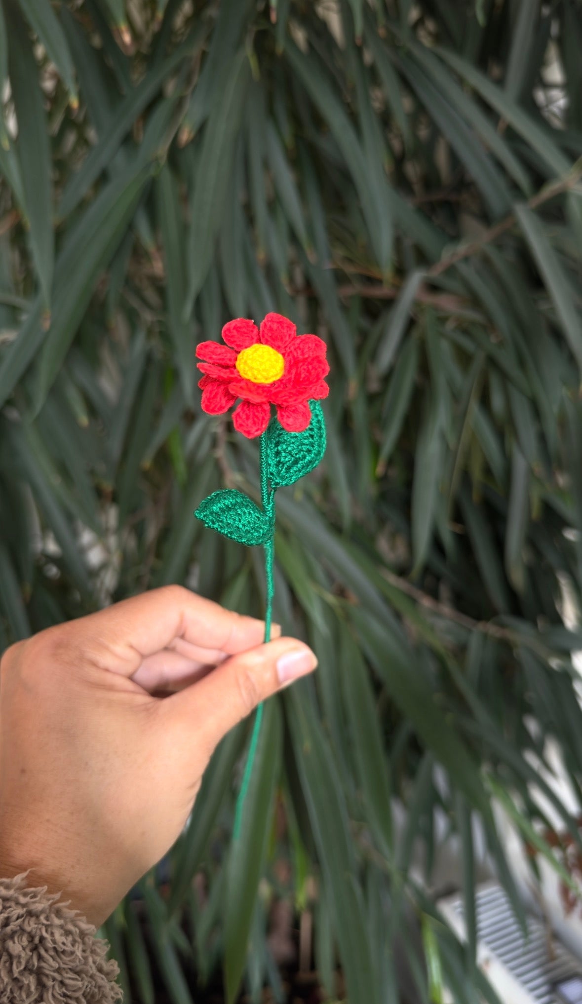 Premium Daisy – Handmade
